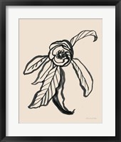 Ink Sketch Flower Fine Art Print