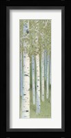Green Forest II Framed Print