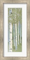 Green Forest II Fine Art Print