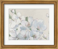 Spring Apple Blossoms Neutral Fine Art Print