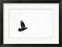 Air Clan Fine Art Print