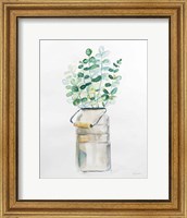 Market Eucalyptus Fine Art Print