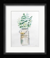 Market Eucalyptus Fine Art Print