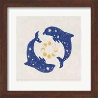Star Dolphins Fine Art Print
