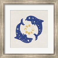 Star Dolphins Fine Art Print