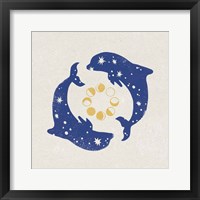 Star Dolphins Framed Print