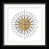 Solar Globe II Framed Print