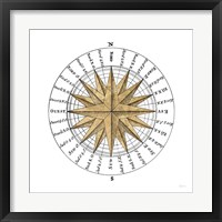 Solar Globe II Framed Print