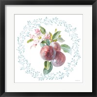 Blooming Orchard V Framed Print