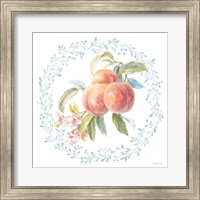 Blooming Orchard III Fine Art Print