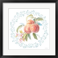 Blooming Orchard III Framed Print