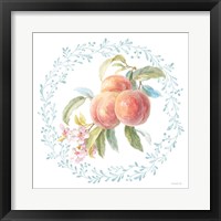 Blooming Orchard III Framed Print