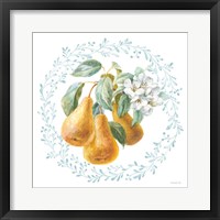 Blooming Orchard IV Framed Print