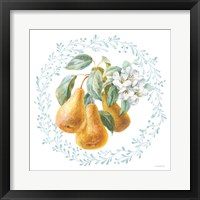 Blooming Orchard IV Framed Print