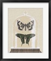 Cottage Butterflies II Fine Art Print