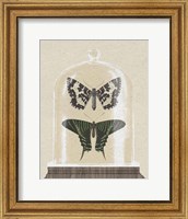 Cottage Butterflies II Fine Art Print