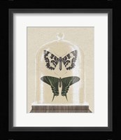 Cottage Butterflies II Framed Print