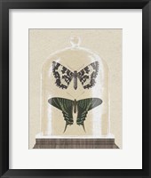 Cottage Butterflies II Framed Print