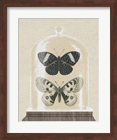 Cottage Butterflies I Fine Art Print