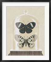 Cottage Butterflies I Fine Art Print