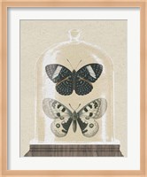 Cottage Butterflies I Fine Art Print