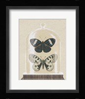 Cottage Butterflies I Framed Print