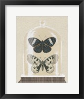 Cottage Butterflies I Framed Print