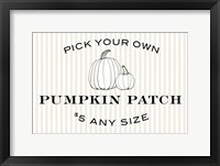 Pumpkin Patch Framed Print