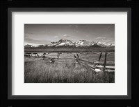 Stanley Basin Fence Fine Art Print