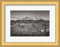 Stanley Basin Fence Fine Art Print