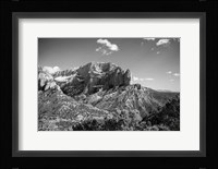 Timber Top Fine Art Print