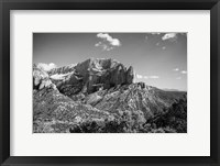 Timber Top Fine Art Print