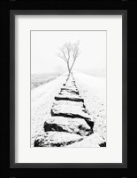 Snowy Stone Wall Fine Art Print