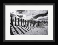 Nantucket Shadows Fine Art Print