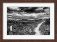 Nantucket Pathway Fine Art Print