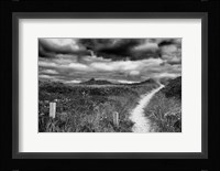 Nantucket Pathway Fine Art Print