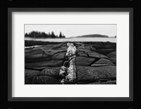 Fissures in Maine Fine Art Print