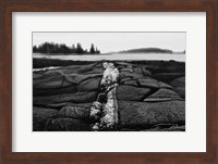 Fissures in Maine Fine Art Print