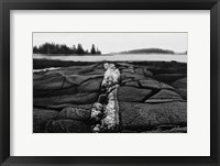 Fissures in Maine Framed Print