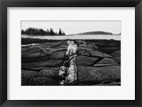 Fissures in Maine Fine Art Print