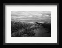 Beach Grasses Fine Art Print