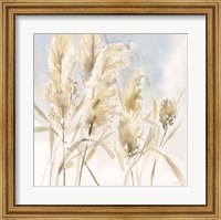 Pampas Grasses Fine Art Print