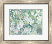 Blossoms Fine Art Print