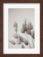 Wistful BW Fine Art Print