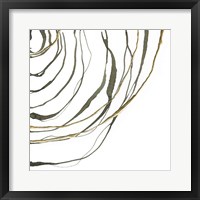 Not Quite Concentric IV Framed Print