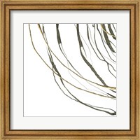 Not Quite Concentric III Fine Art Print