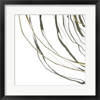 Not Quite Concentric III Framed Print