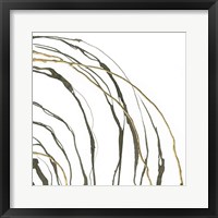 Not Quite Concentric II Framed Print