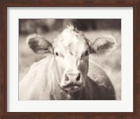 Pasture Cow Neutral Fine Art Print