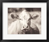 Pasture Cow Neutral Framed Print